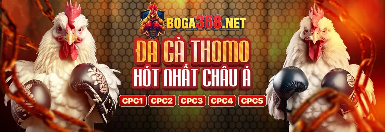 Hoàn trả cao hơn